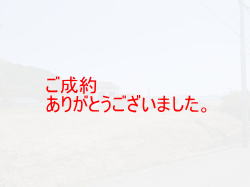 C[W01